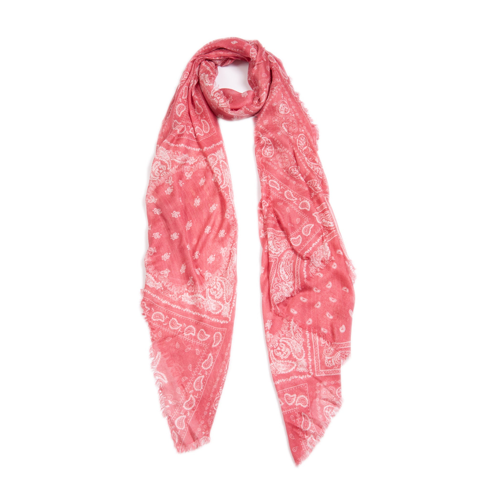 Vintage Paisley Scarf